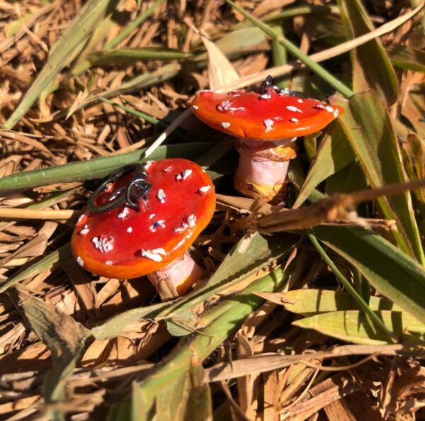 brinco cogumelo amanita cogumagic